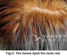 250910134922_Hair-Dying with henna-s.jpg